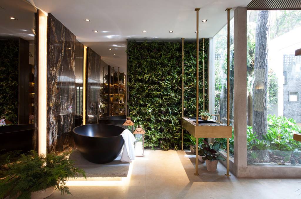 Shower plants: as plantas no banheiro ganham a área do banho