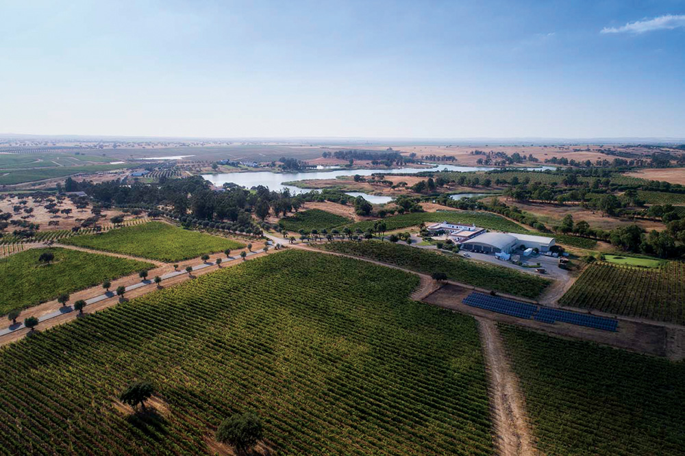 Vinhos portugueses com selo de sustentabilidade chegam ao Brasil