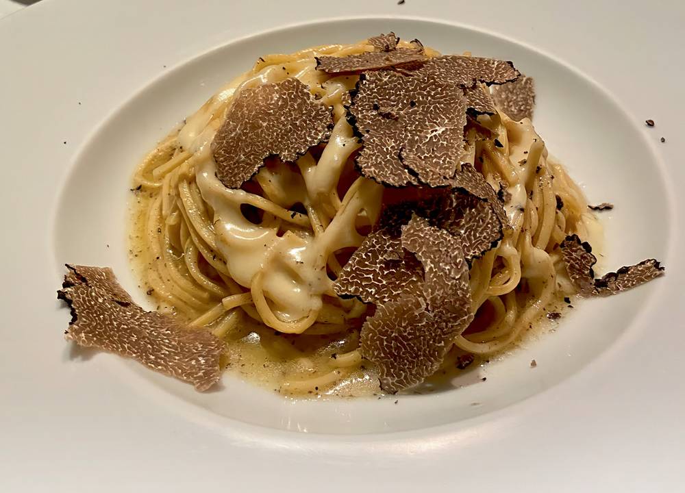 Prato fundo de louça branca com espaguete enrolado com molho de claro coberto por lascas finas de trufas negras.