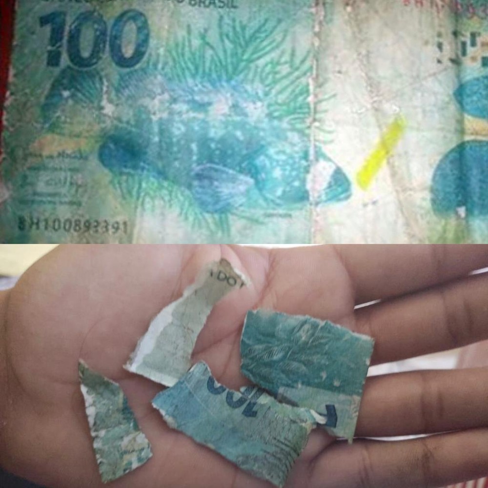 mãe-do-menino-João-Victor-rasgou-nota-falsa-de-100-reais foto dividida em duas. acima, a nota falsa de 100 reais inteira e, abaixo, a nota rasgada na mão de alguém
