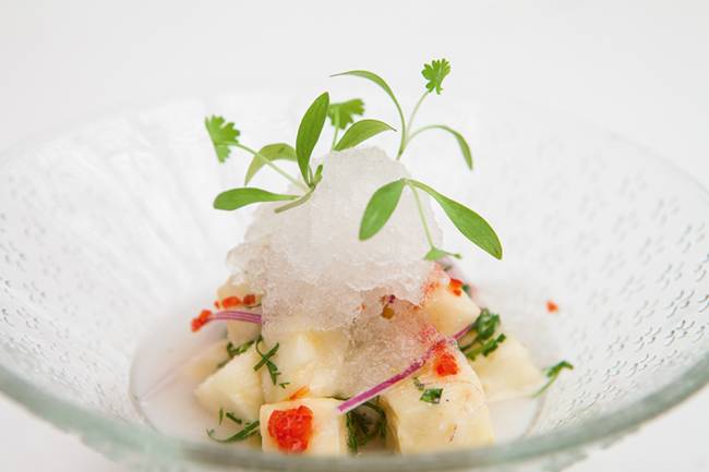 Tigela transparente com ceviche de caju coberto por nuvem e pancs.