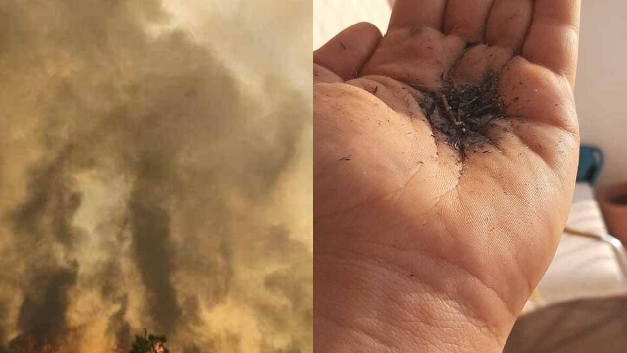 Imagem dividida em duas. De uma lado: parque em Franco da Rocha em chamas. Do outro, mão de morador com fuligem. Fenômeno pode ter relação com incêndio.
