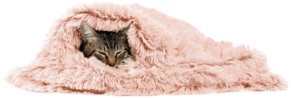 pets-no-frio-cachorros-gatos-doenças-Cobertor-peludo-gato-Amazon.jpg gato dormindo enrolado em cobertor feupudo