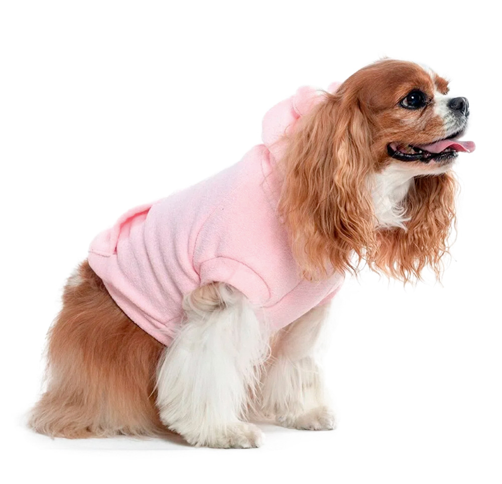 pets-no-frio-cachorros-gatos-doenças-roupinha-rosa-Cobasi.png cachorro marrom de raça com língua de fora e roupa rosa