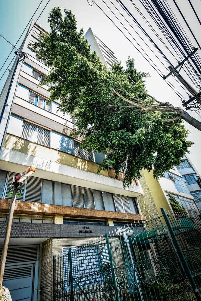 São Paulo 27 setembro 2021Foto Alexandre Battibugli VSP A imagem mostra galhos de uma árvore bem em frente a janelas de um prédio na Mooca.