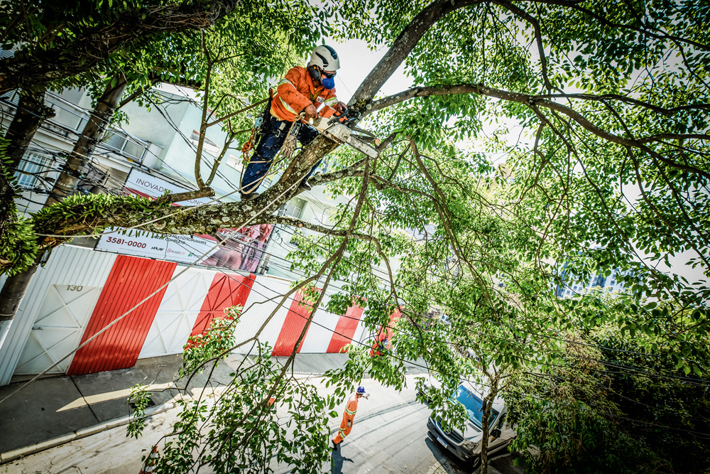 São Paulo 27 setembro 2021Foto Alexandre Battibugli VSP A imagem mostra um agente da subprefeitura serrando um grande galho de uma árvore já em cima dela.