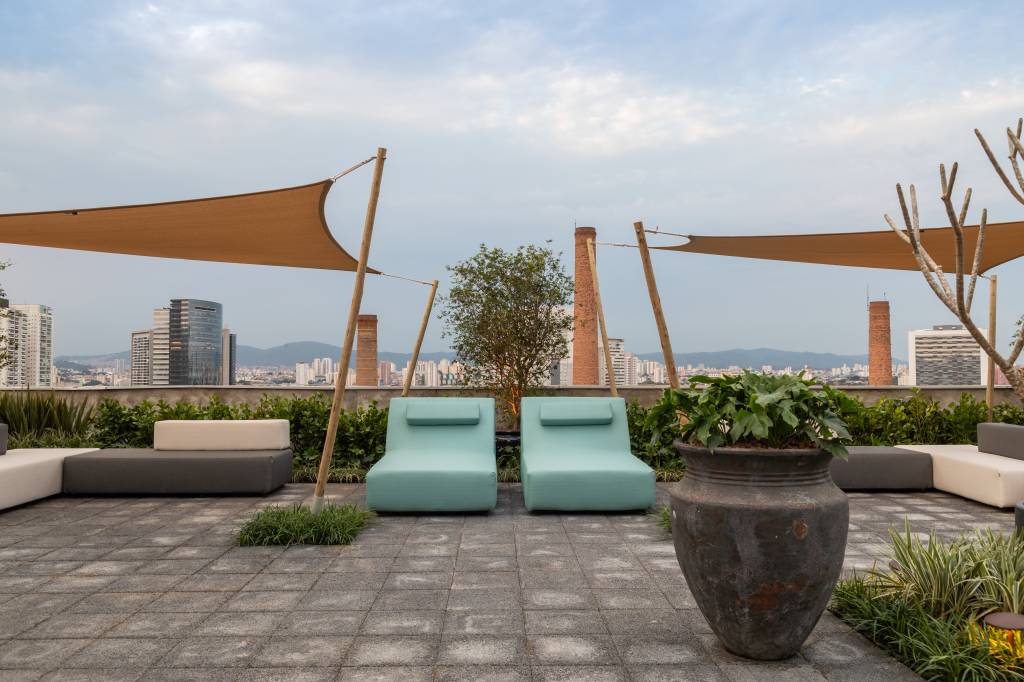 Aprenda a cultivar jabuticabeiras em casa!