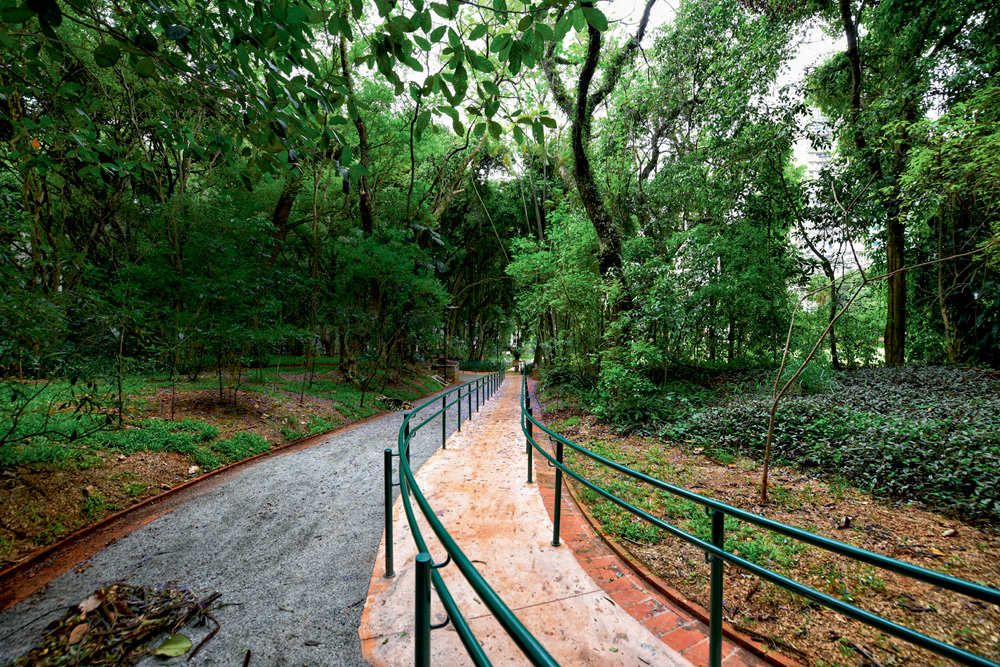 Passarela com corrimão verde e árvores aparecem na foto.