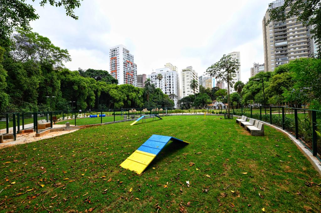 Obstáculos para pets aparecem em gramado.