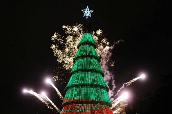 Imagem noturna de árvore gigante, iluminada com LEDs verdes, e fogos de artifício ao fundo