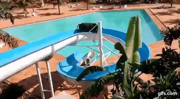 Refresco? Vaca sobe e escorrega em tobogã no interior de São Paulo