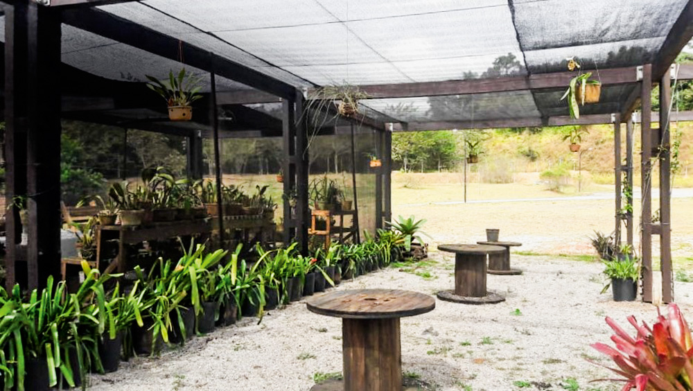 Parque Jequitiba divulgação Secretaria Estadual do Meio Ambiente.jpeg Imagem mostra espaço com mesas, canteiro e gramado ao fundo.