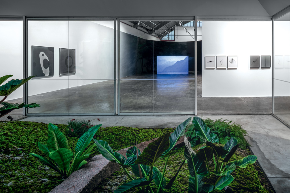 Fachada de uma galeria. O prédio é branco e moderno e há um jardim verde na frente