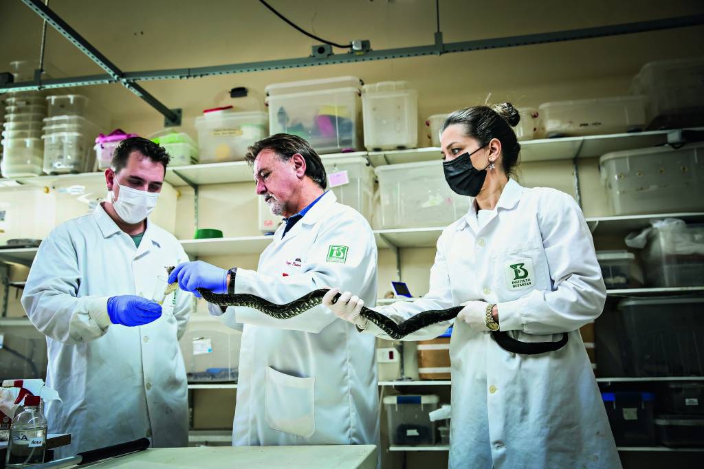 Em nova fase, Butantan terá fábrica de R$ 300 milhões e Parque da Ciência