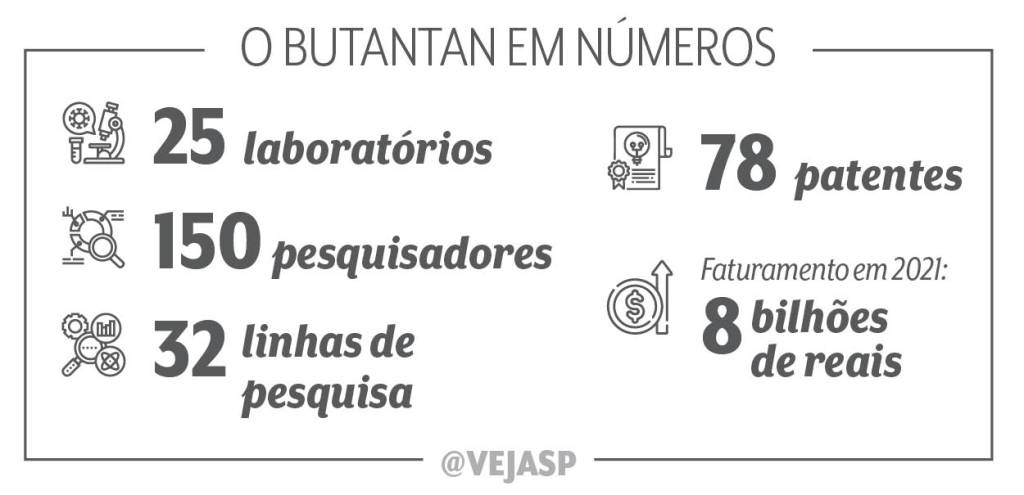 Imagem mostra texto com dados do Instituto Butantan.