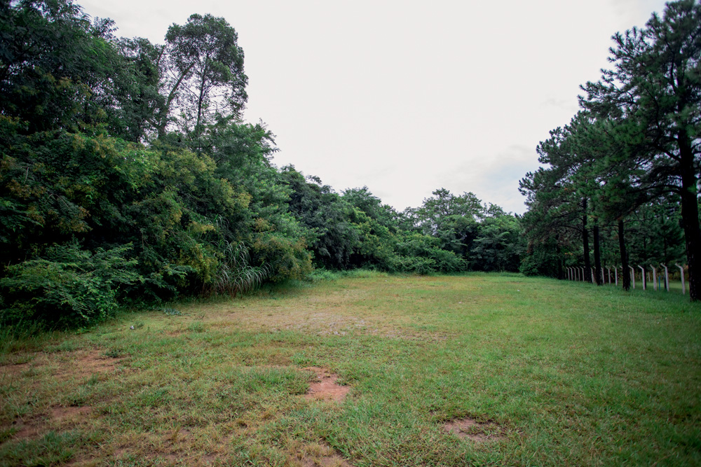 TERRENOCAMPODEMARTE35.jpg Campo gramado com mata ao fundo
