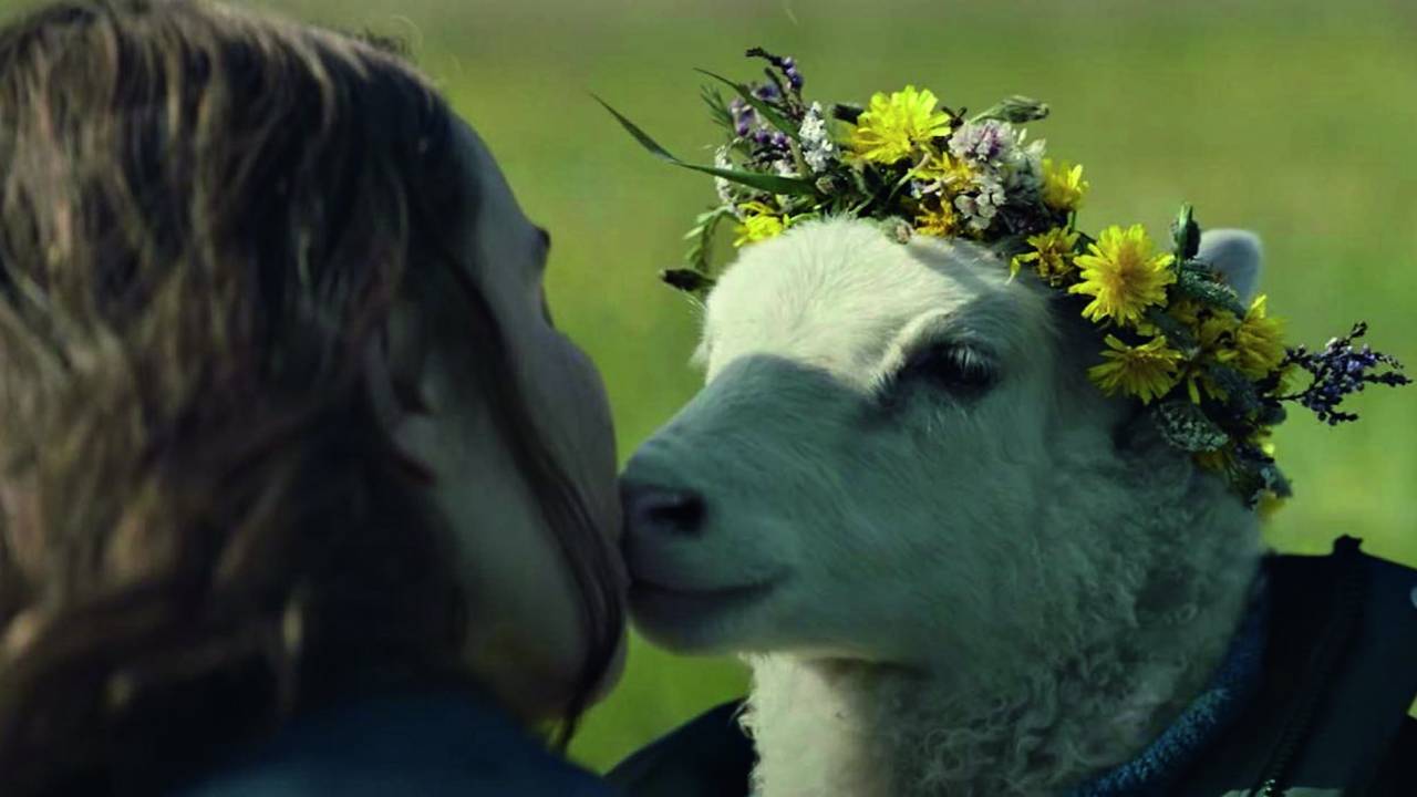 Imagem mostra mulher beijando ovelha com coroa de flores.
