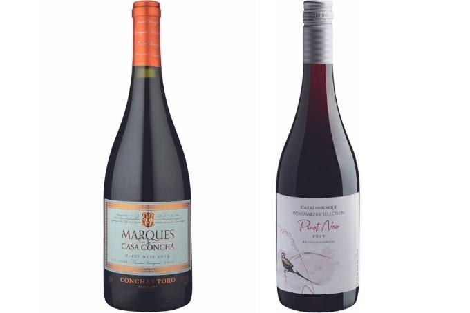 Vinhos Duas garrafas de vinhos dispostas sobre fundo branco