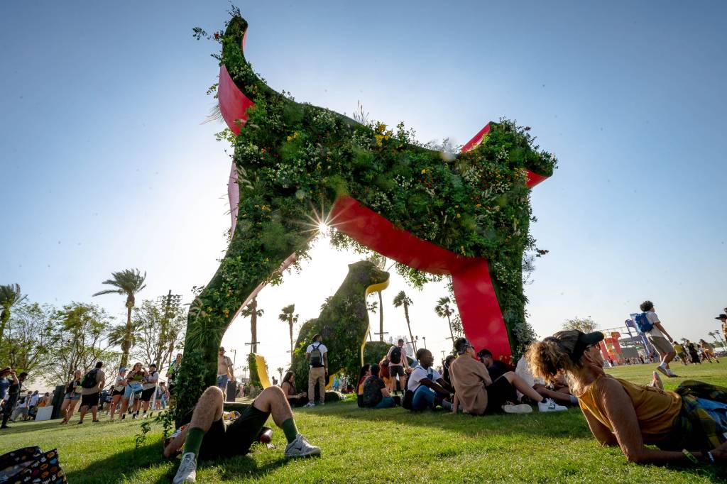 coachella-2022-3 Cachorros Florais, por Oana Stănescu. Coachella 2022
