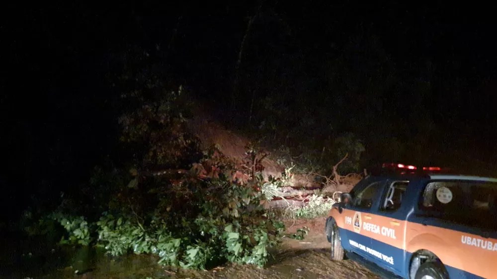 Trecho da estrada, onde ocorreu a queda de uma barreira. Se nota uma árvore caída e uma viatura policial