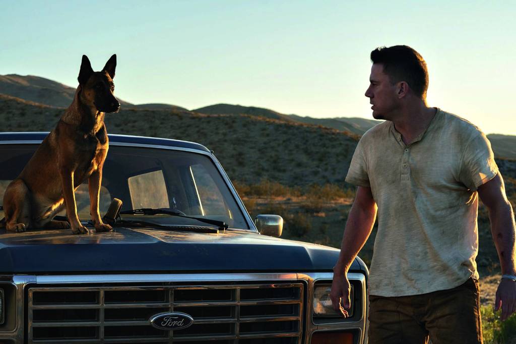 Channing Tatum estreia na direção em Dog – A Aventura de Uma Vida