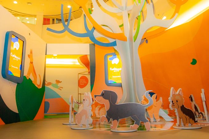 Como é ver e ouvir como um cão? Exposição na capital permite experiência