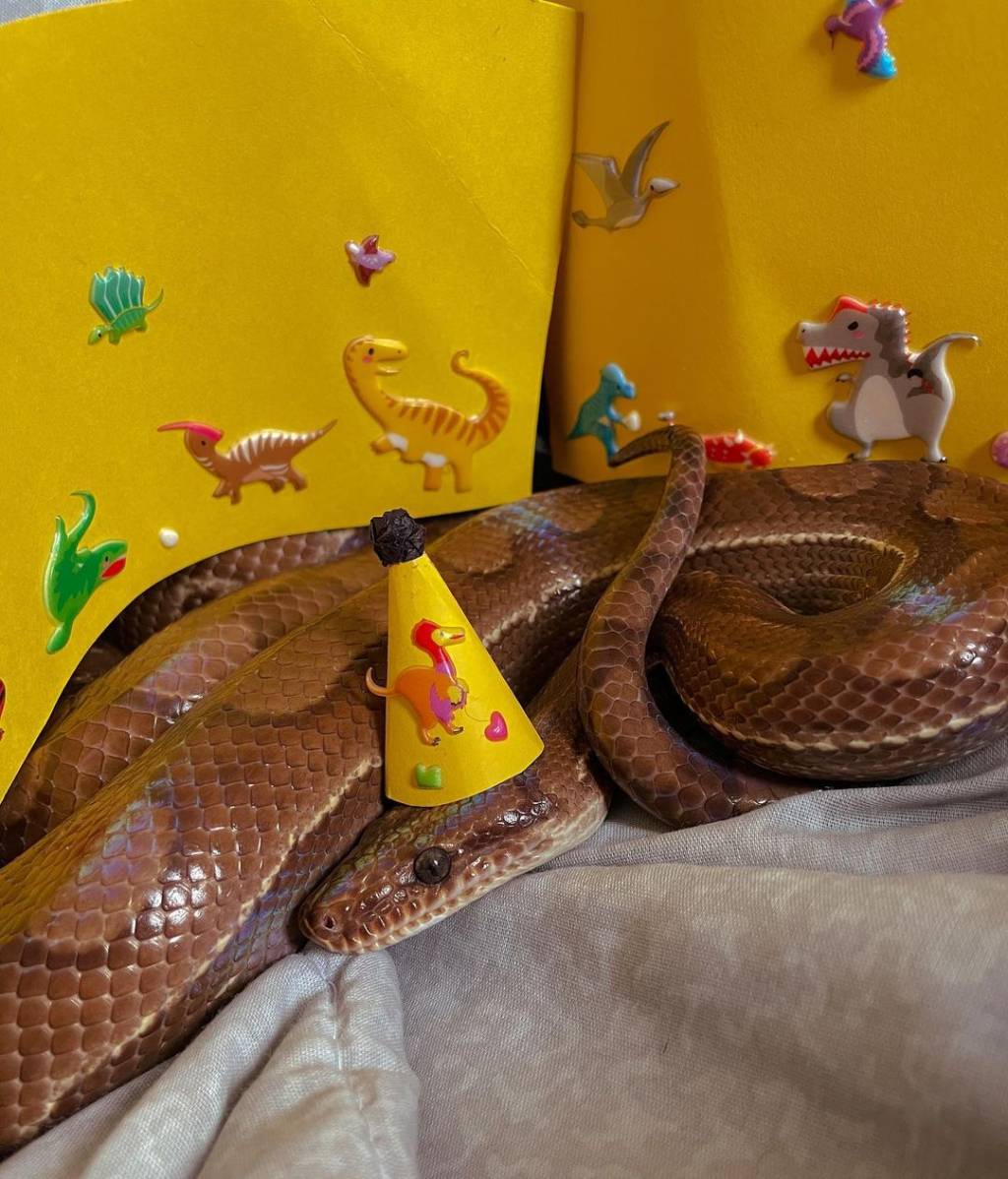 SylasNiver Festinha de aniversário do Sylas foi temática, com dinossauros