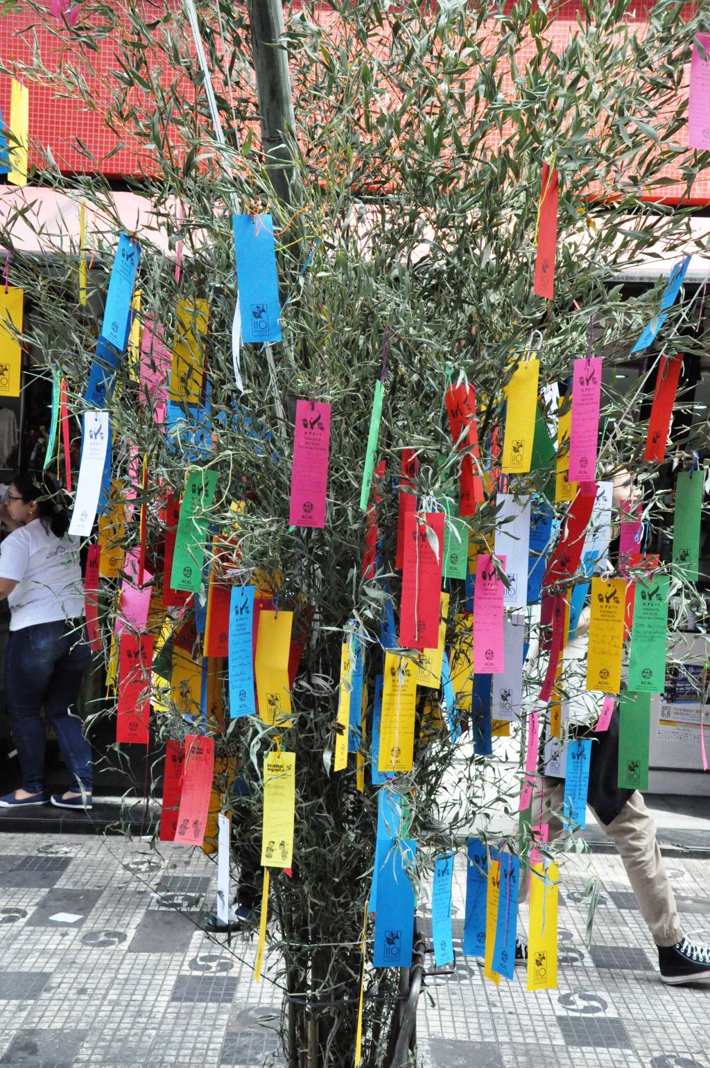 Tanabata Matsuri – Festival das Estrelas 6 – Tanzakus – foto por Luci Júdice Yizima Tanzakus, tradicionais pedaços de papeis coloridos, pendurados no bambu