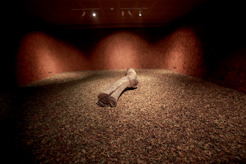 Conheça as três exposições temporárias do Museu das Culturas Indígenas