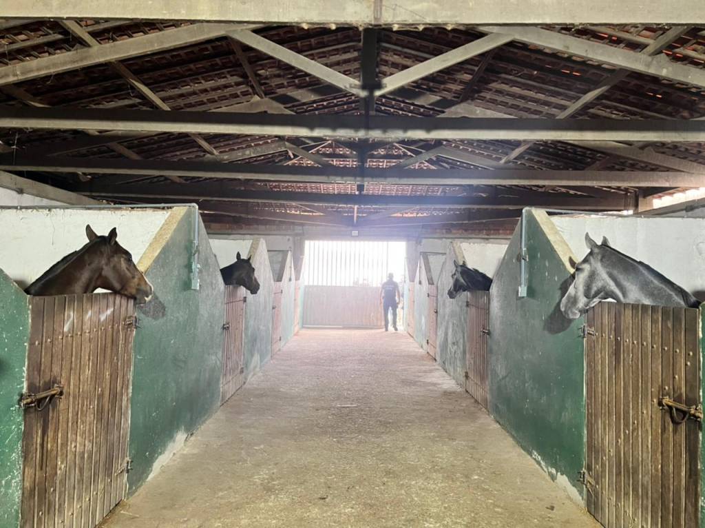 Um mandado de busca e apreensão foi cumprido em um haras em cidade de Sergipe.