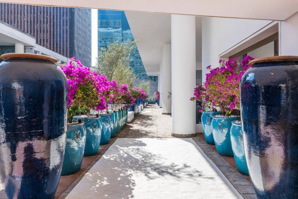 Bougainville: aprenda a cultivar a flor com paisagista da CASACOR SP!