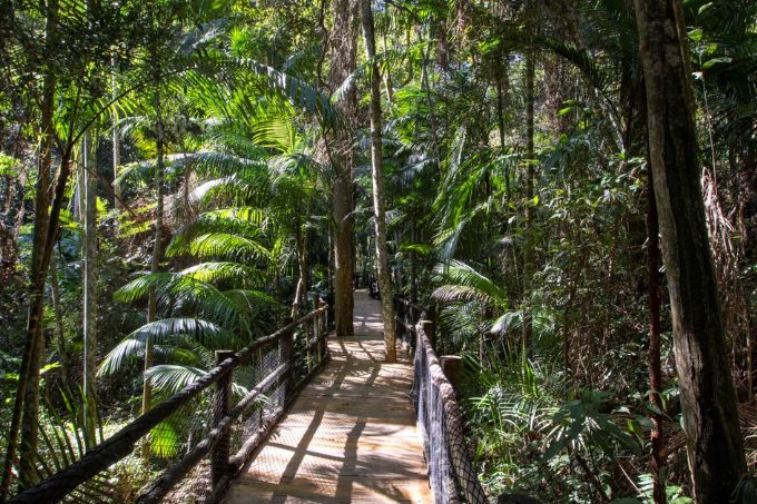 Jardim Botânico terá visita guiada à trilha da nascente do riacho do Ipiranga