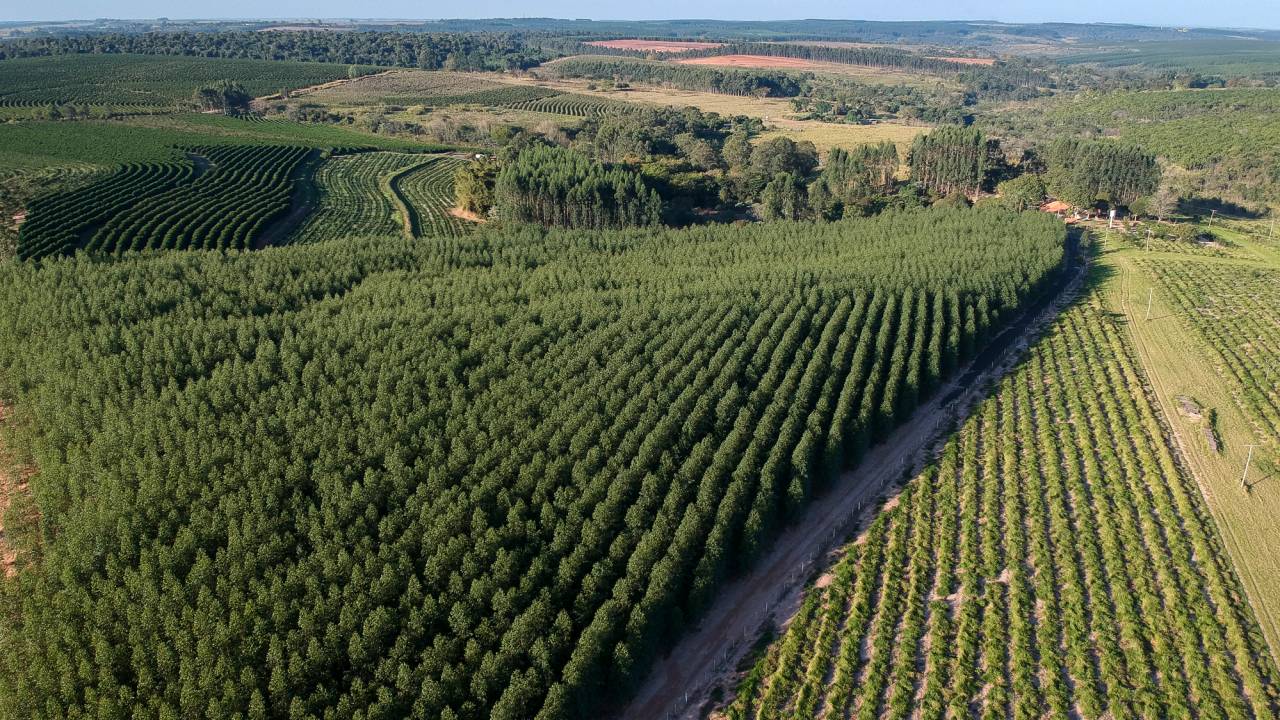 Agronegócio responsável cresce e se transforma em um dos grandes focos do Santander Brasil