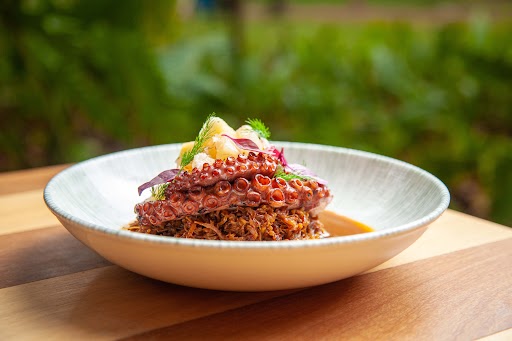 polvo grelhado selvatem Polvo Grelhado com arroz vermelho caldoso em prato branco sobre mesa de madeira com folhagens ao fundo