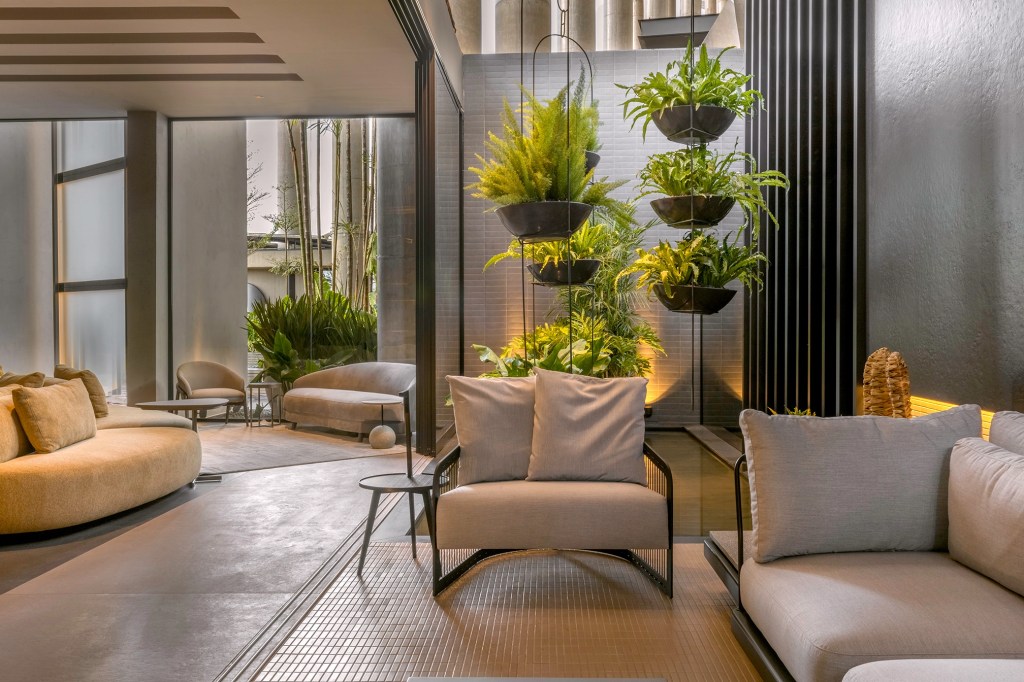 Primavera 2022: 5 dicas para cuidar das plantas em casa