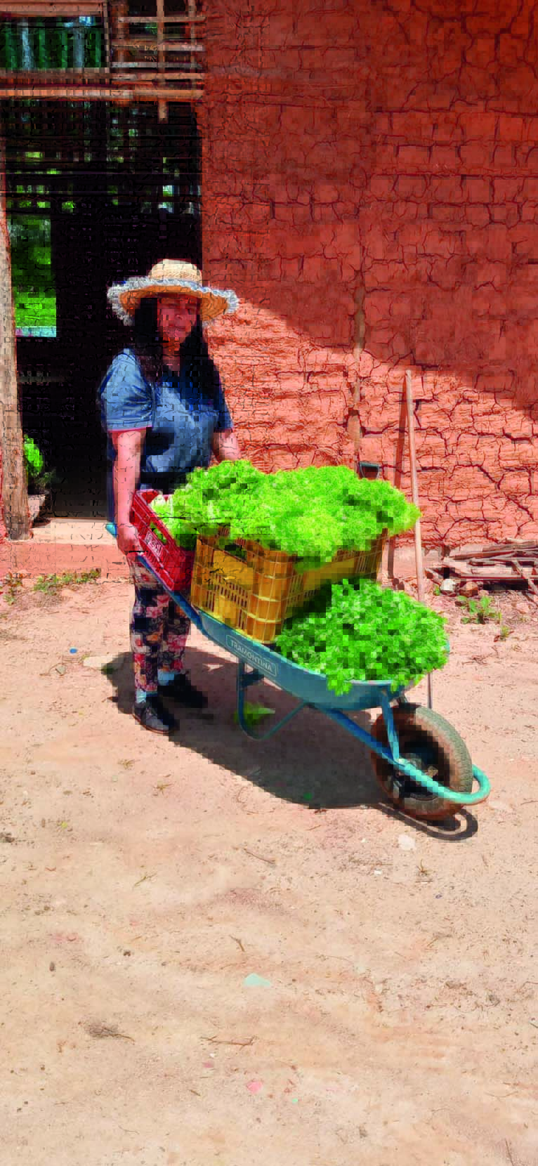 2JoelmaMulheresdoGauv.jpg Imagem mostra mulher levando vegetais em carrinho de mão
