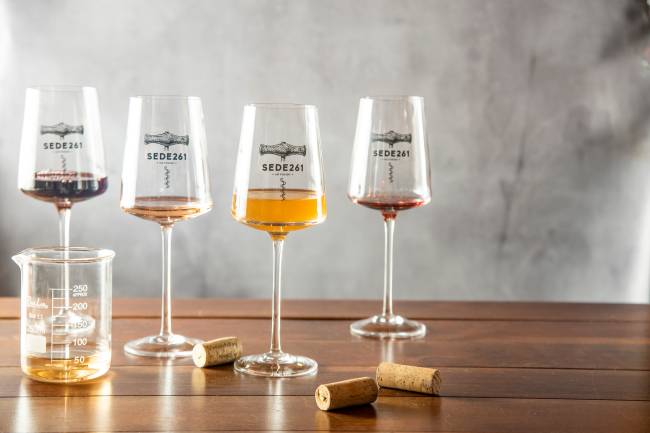 Sede261 vinhos