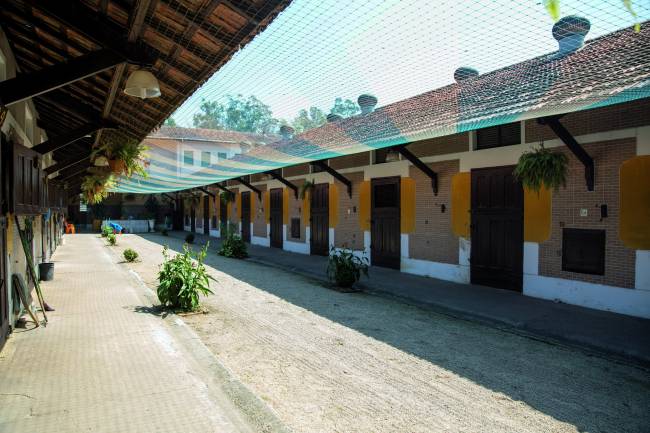 JOCKEYCLUBLM33.jpg Jockey Club de São Paulo