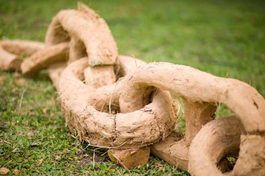 MAM São Paulo inaugura obra e intervenção em seu jardim e fachada