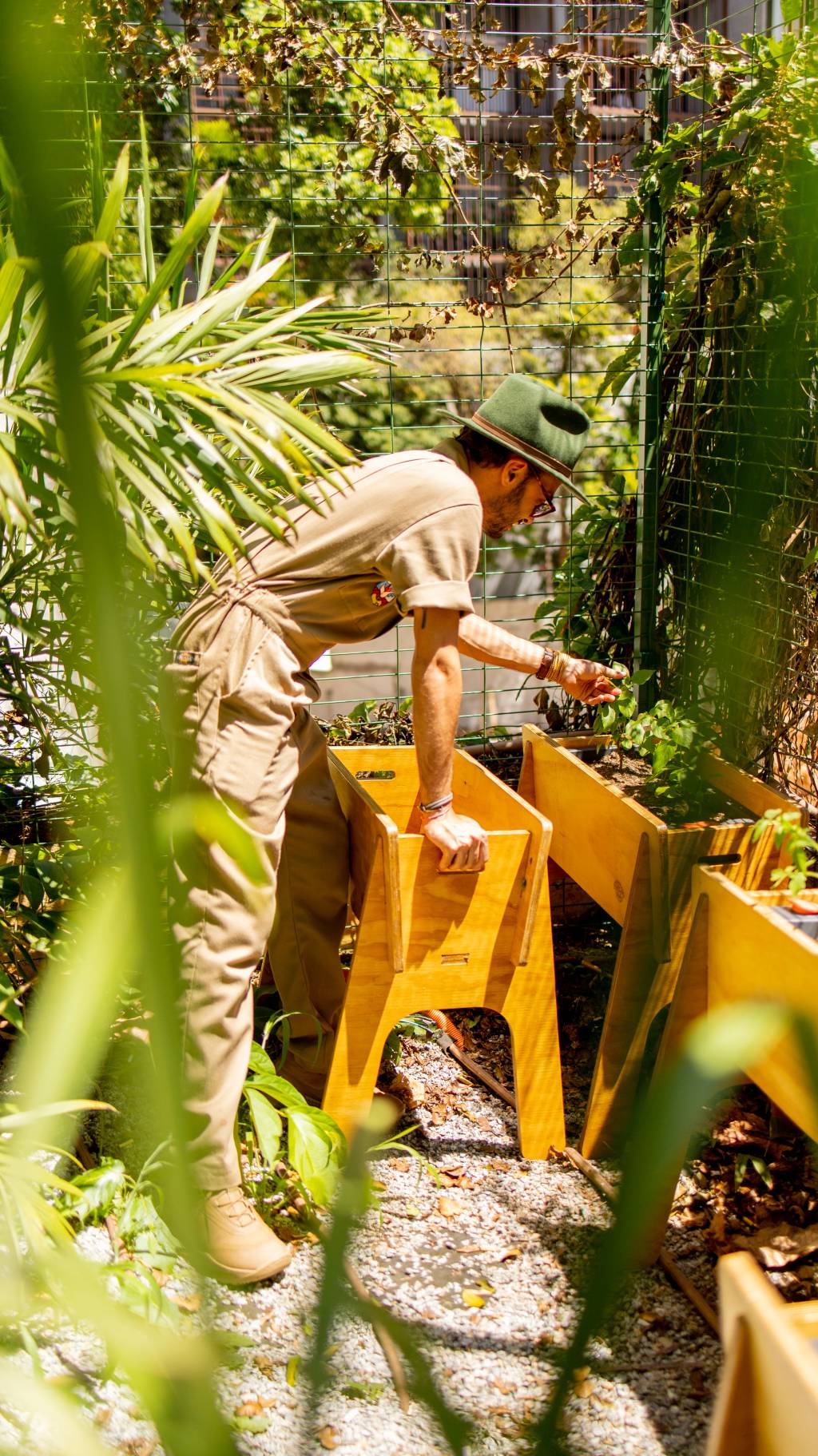 hotel-rosewood-ganha-horta-nativa-auto-irrigavel-credito-fernando-iosa-6 Hotel Rosewood ganha horta nativa auto irrigável