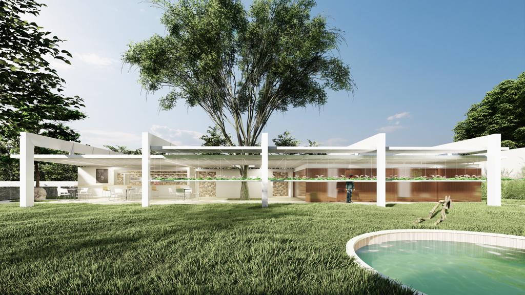 Imagem 3D exibe jardim, gramado e entrada em casa moderna com vidraças.