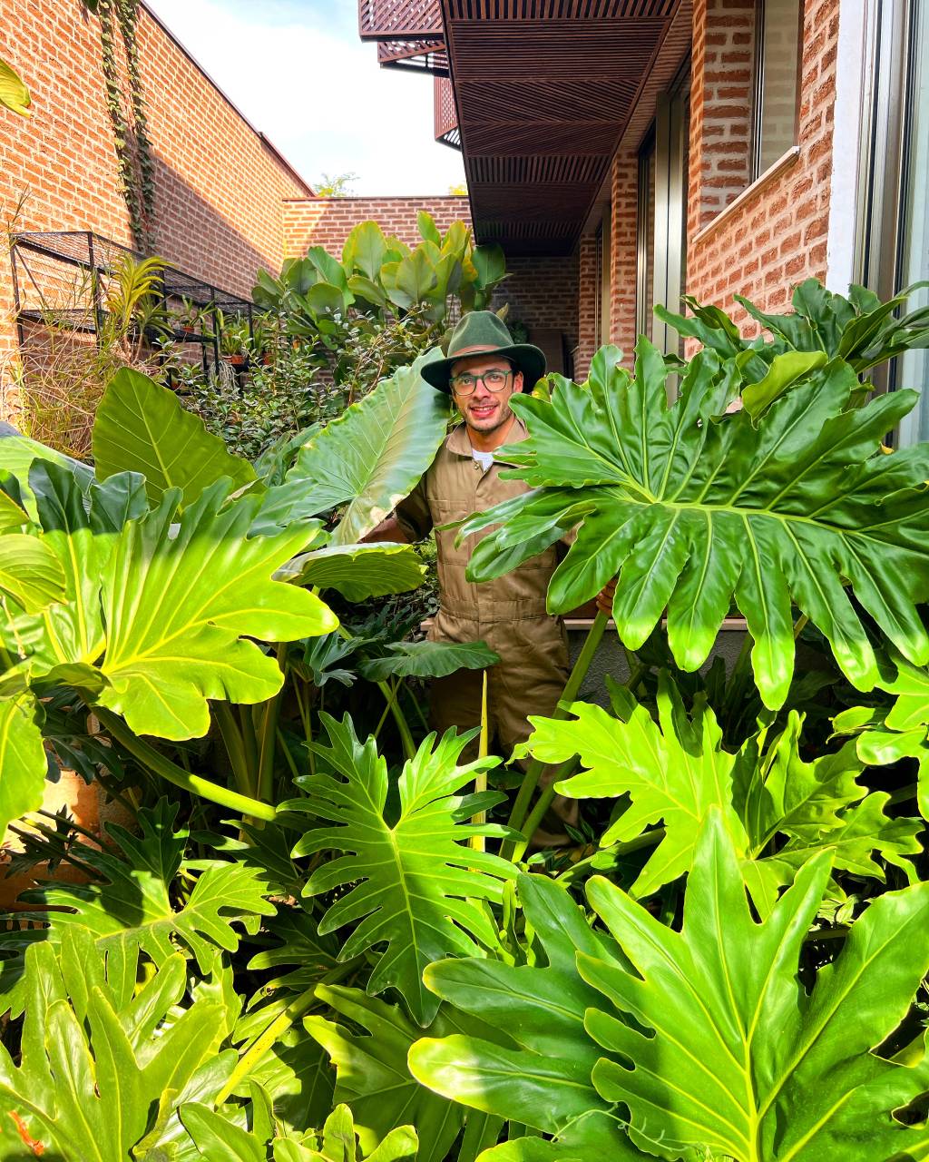 João Queiroz (Murilo Amancio-Divulgação) (1) João Queiroz posa de chapéu em meio a grandes plantas em vários tons de verde.
