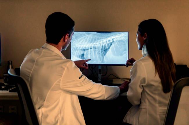Aparelhos de tomografia estão entre os equipamentos tecnológicos do Nouvet.