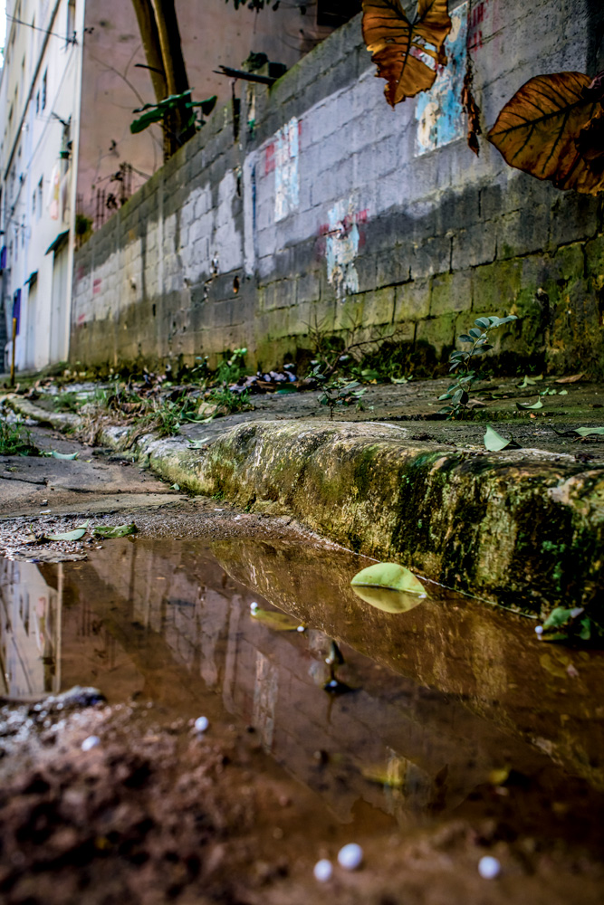 GROTADOBIXIGA_1.JPG Foto de uma poça no beco da rua Garcia Fernandes; acima, muro com inscrição de Grota do Bixiga