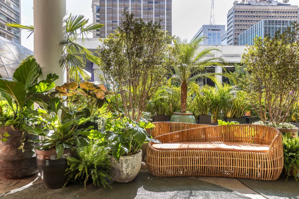 Catê Poli e João Jadão assinam um jardim tropical na Avenida Paulista