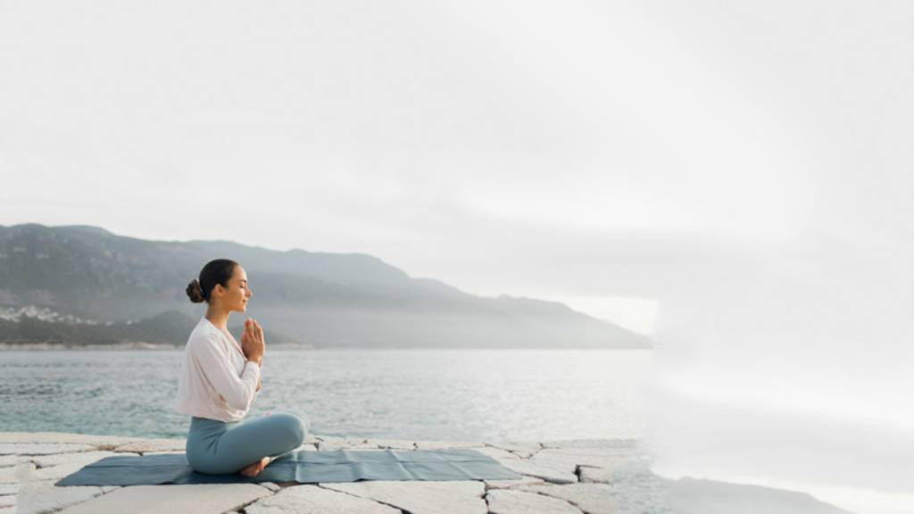 Conecte-se à Inteligência Universal