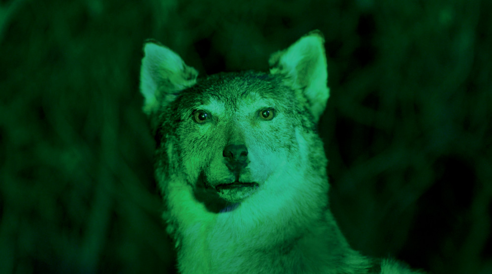 Bienal Sesc Videobrasil celebra 40 anos e destaca produções do Sul Global