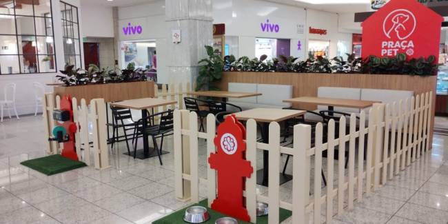 PracaPet02-1140×570 PracaPet02-1140×570