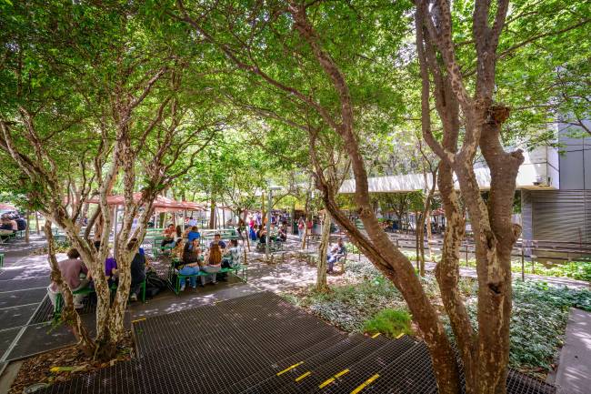 Jardim do Shopping Cidade São Paulo