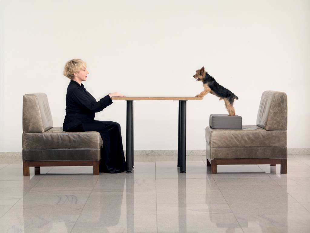 mostra internacional teatro sp perros dialogos caninos perros-dialogos-caninos-mostra-internacional-teatro-sp